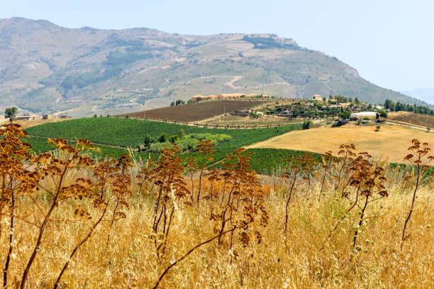 Sicily: A kind of mixture of nature and history.